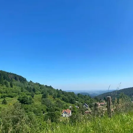 Natur'lovers - D'exception - Jacuzzi Et Hammam En Pleine Nature Σαλέ Grendelbruch